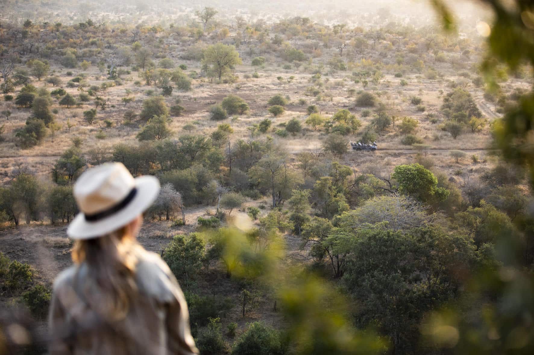 Safari in January