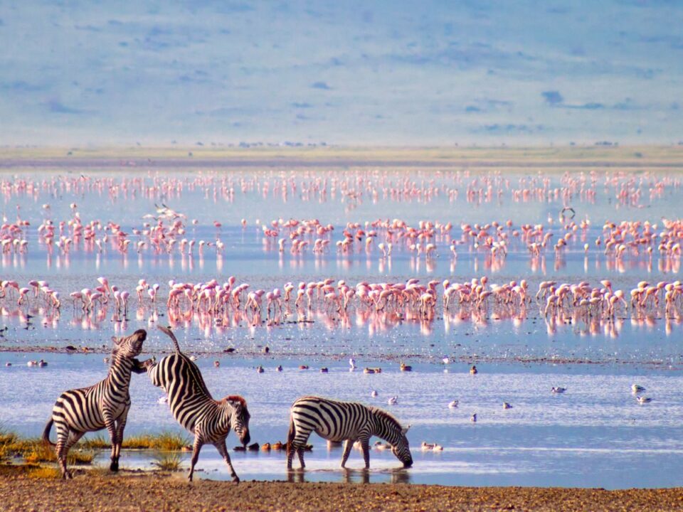Luxury Autumn Safari Holiday