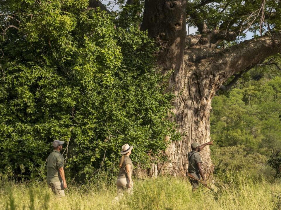 Safari calendar 2025 - Kruger National Park South Africa