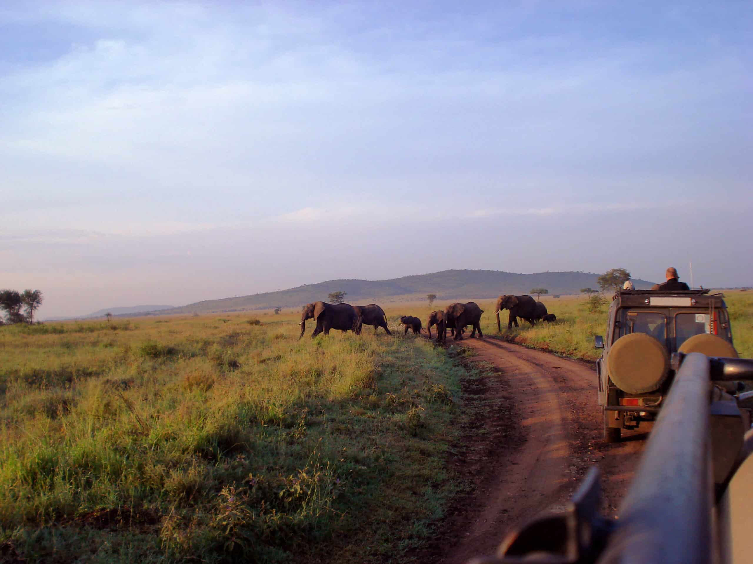 Family safari vehicle observing a herd of elephants at sunset in the African savannah during a luxury family safari in Botswana