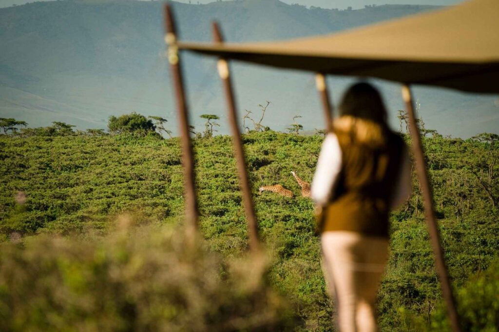 Entamanu Private is an exclusive highland retreat with views of both the Ngorongoro Crater floor and Serengeti National Park.