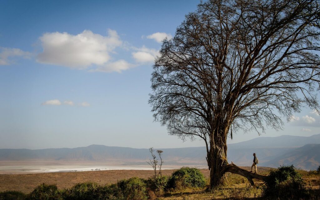 Visit 3 incredible natural East Africa Wonders on this luxury safari which combines a scenic flight over Mount Kilimanjaro, the iconic Ngorongoro Crater and the Great Wildebeest Migration in the Serengeti.