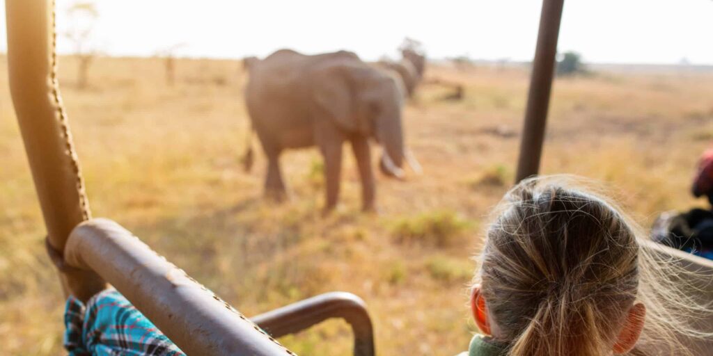 Embark on a South African luxury safari & experience breathtaking scenery & wildlife. Explore the 12-day trip, price & itinerary with Ker & Downey® Africa.