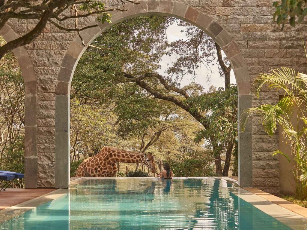 Giraffe Manor in Kenya is set on 140 acres of pristine indigenous forest and is home to a resident herd of curious Rothschild Giraffes.