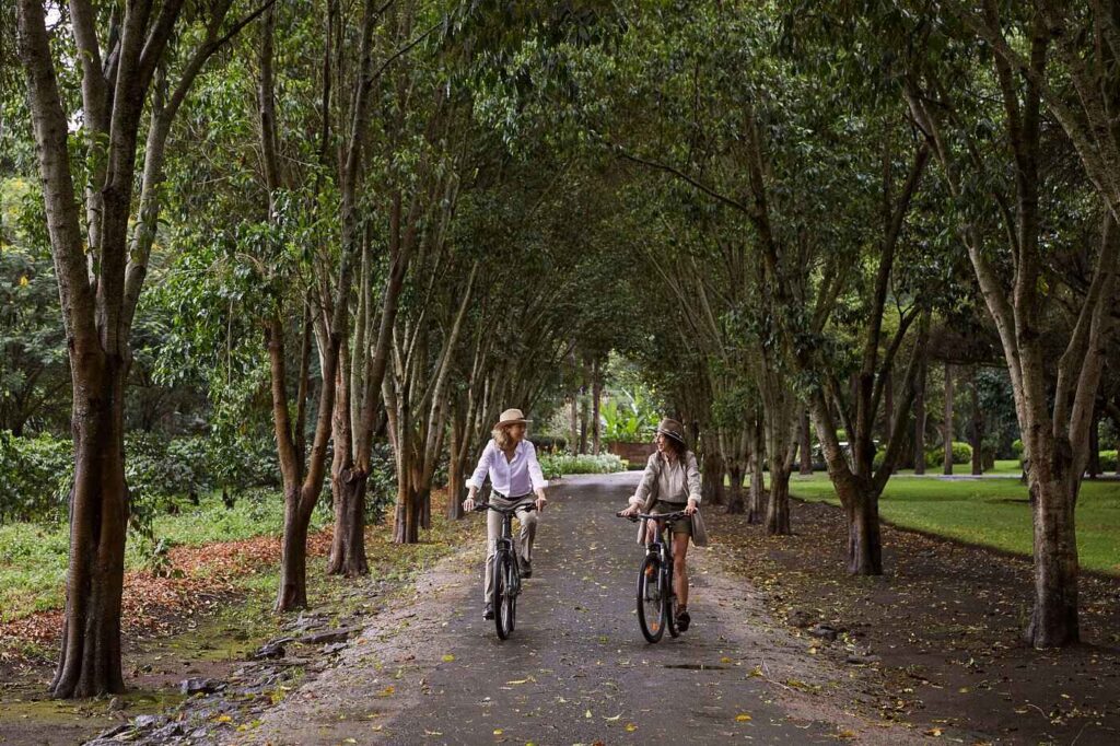 Located on the outskirts of Arusha, Legendary Lodge lies at the foothills of Mount Meru and is the perfect start or endpoint for a Tanzania safari.