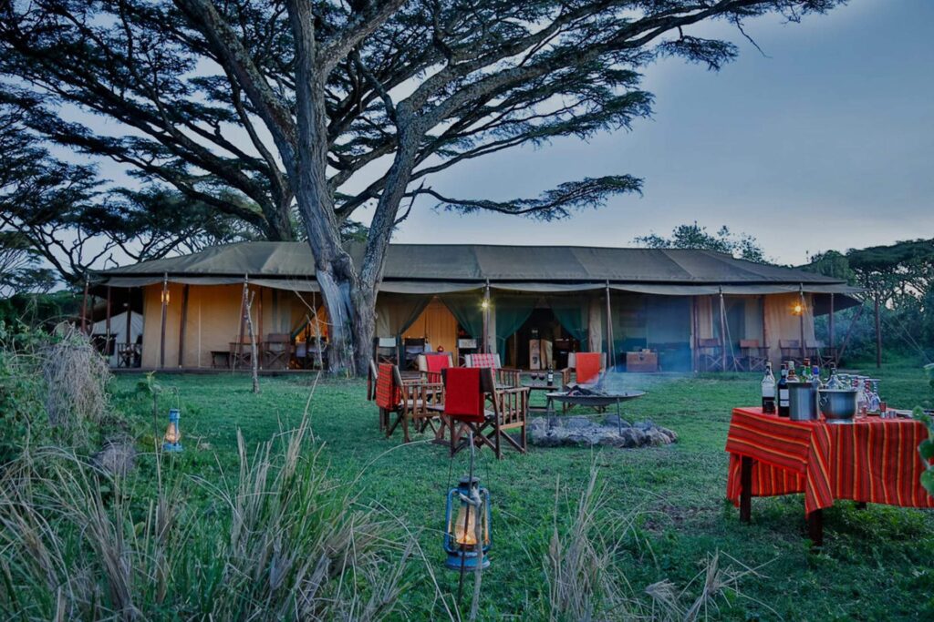 This Luxury Tented Safari in Tanzania explores wildlife-rich regions and ensures all the comforts of a luxury lodge