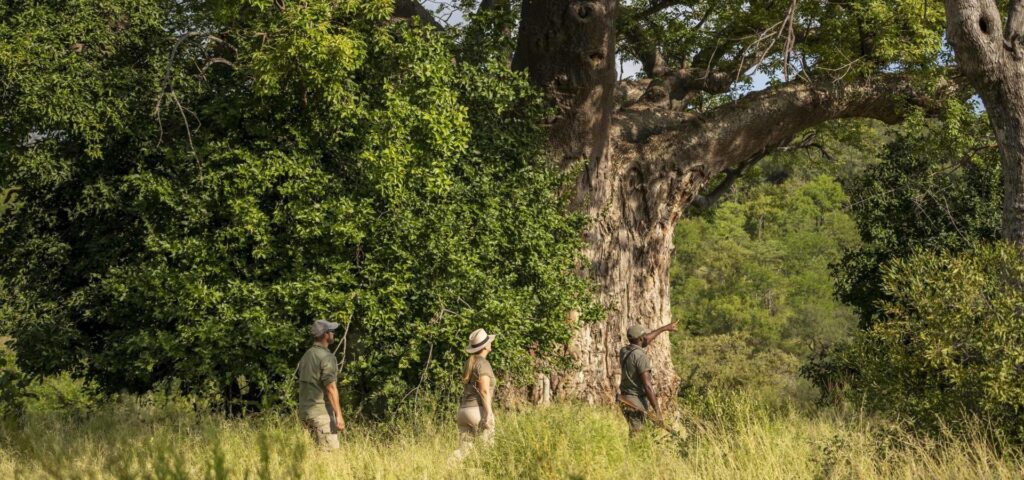 Safari calendar 2025 - Kruger National Park South Africa