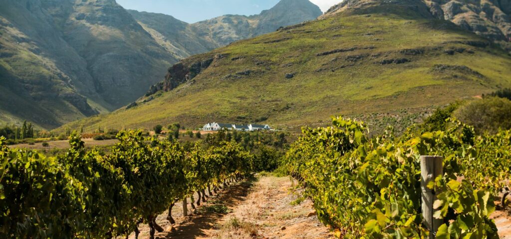 10 reasons to visit South Africa | Ker & Downey® Africa