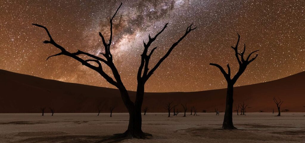 A carefully crafted Stargazing Desert Safari in Namibia combines thrilling wildlife encounters and desert adventure with remote luxury lodges