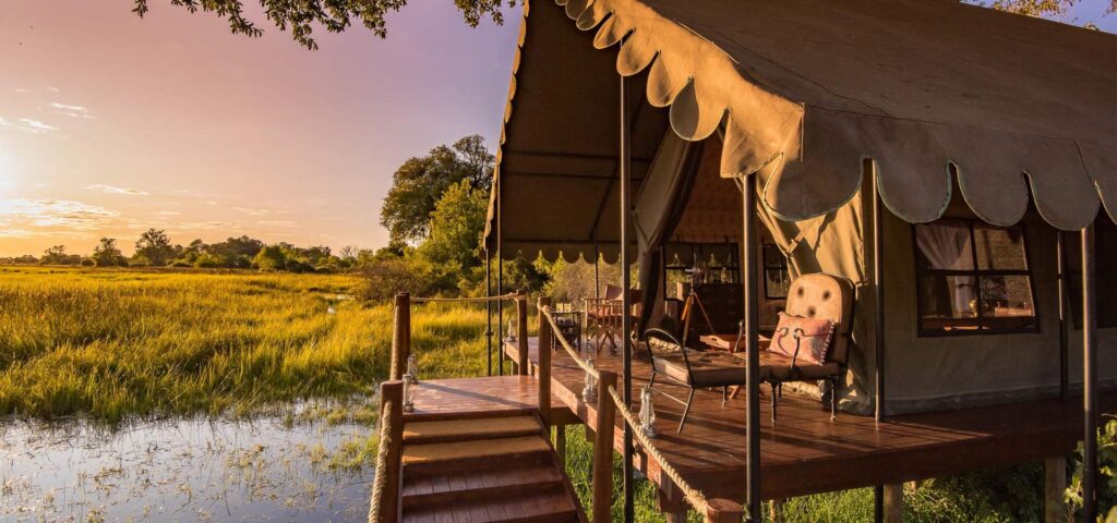 This luxury safari to Botswana takes you to 3 iconic wildlife hotspots and includes a night in a treehouse as well as a stay at one of the newest camps in the Okavango Delta.
