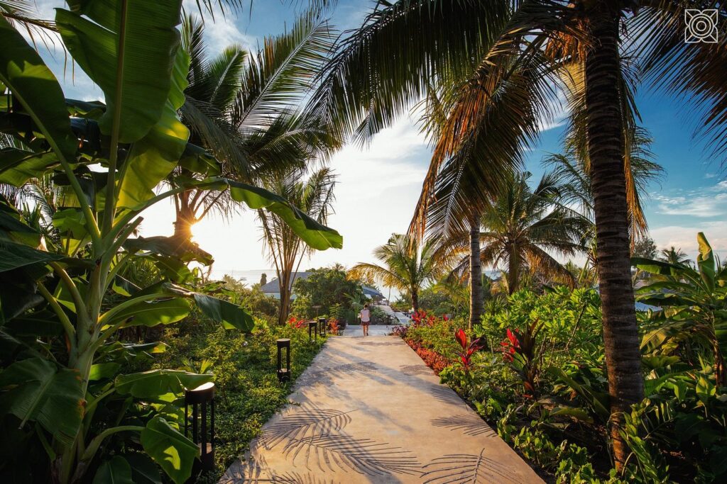 Rediscover your imagination with a stay at the splendidly luxurious Zuri Zanzibar situated along a unique stretch of pristine Zanzibar beach.