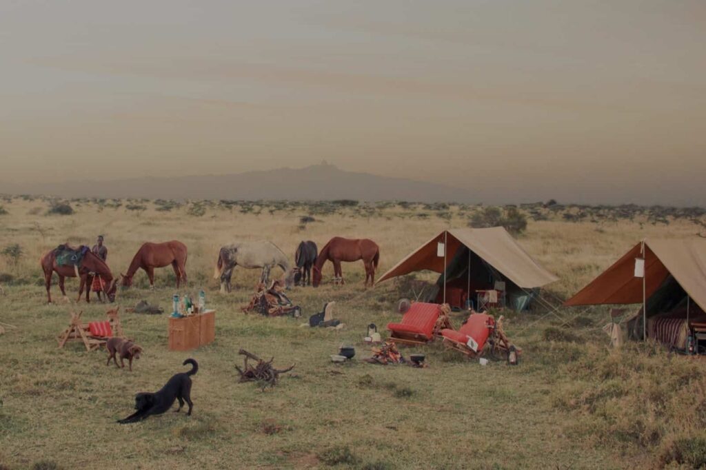 Travel through the wild for 3 days on this exciting horseback safari in Kenya, exploring Samburu in a nomadic camping style