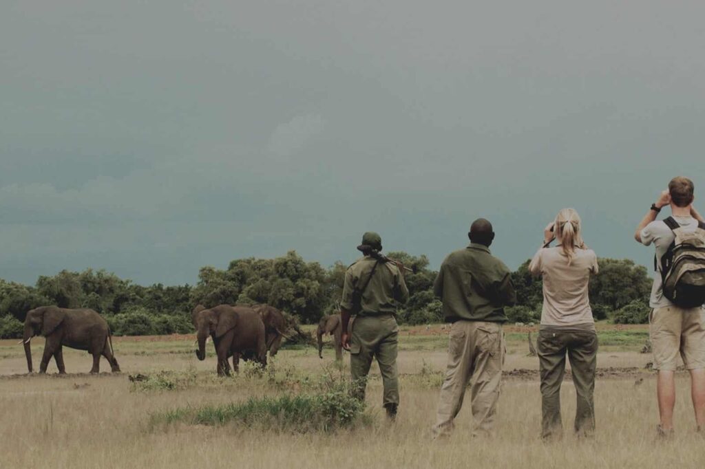 Guests on a guided walking safari in South Luangwa National Park, Zambia