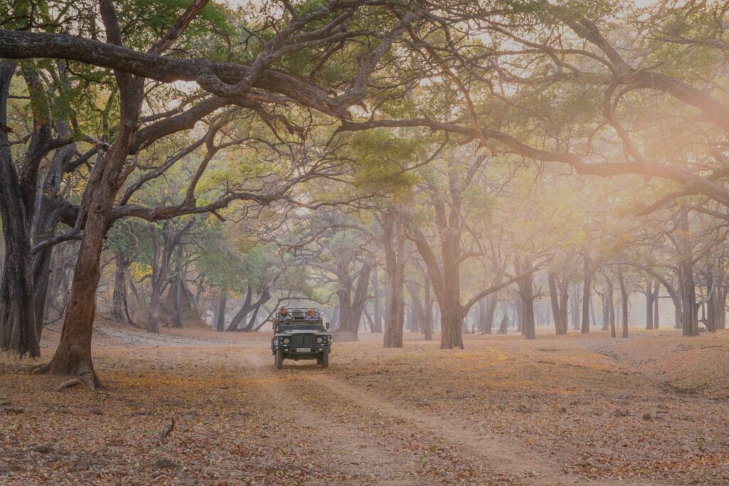 Top-rated luxury safari jeep driving through the Zambia landscape illuminated by the African sun