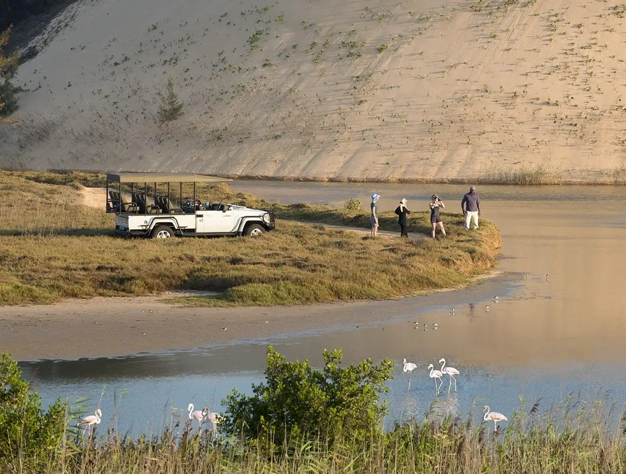 Copy of benguerra-island-actvities-island-drives