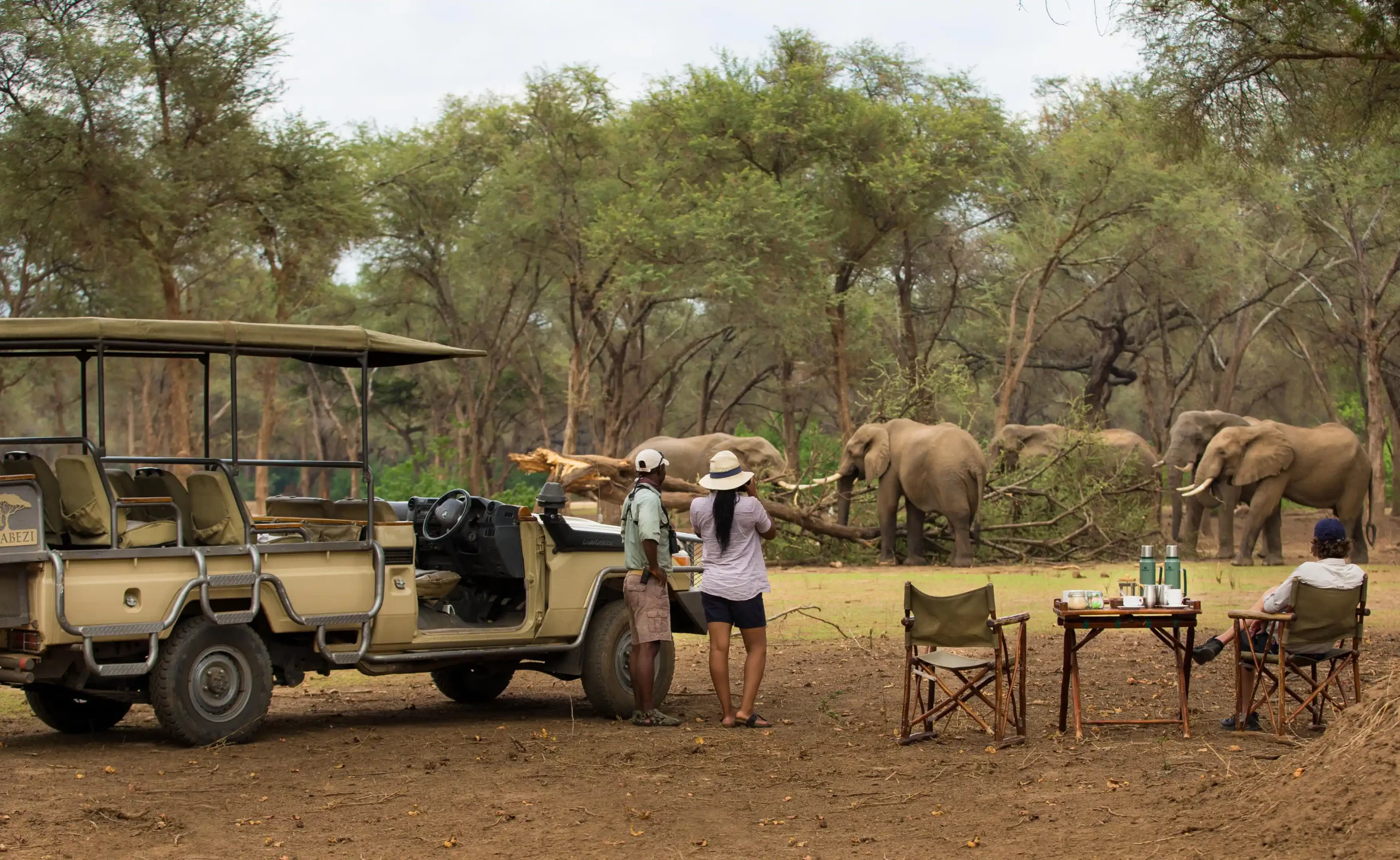 Copy of game_drive_tea_2