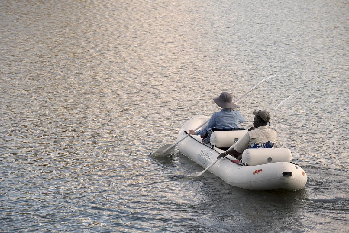 Copy of thorntree_0941