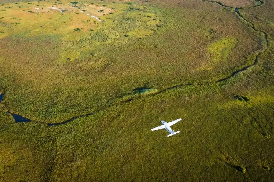 Des avions légers survolent des zones humides luxuriantes et des bras de rivière menant à des camps isolés proposant des safaris pédestres exclusifs.