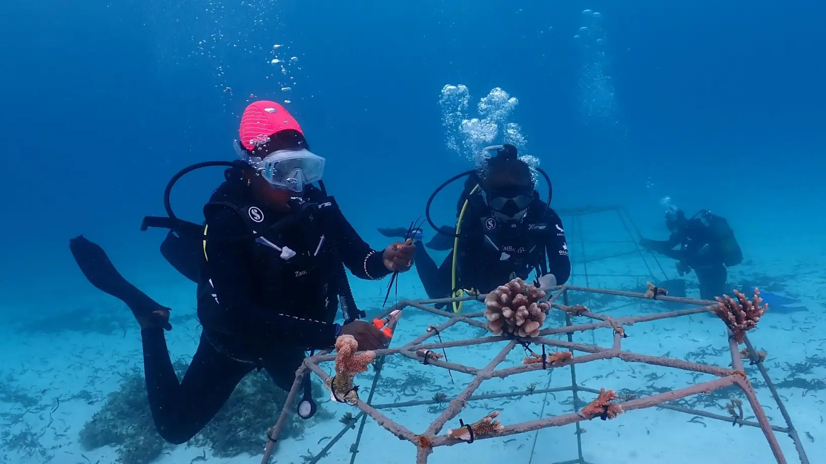1744295724221_Mnemba-Island-OWB-coral-frame-planting-1-Credit-Dr-Camilla-Floros