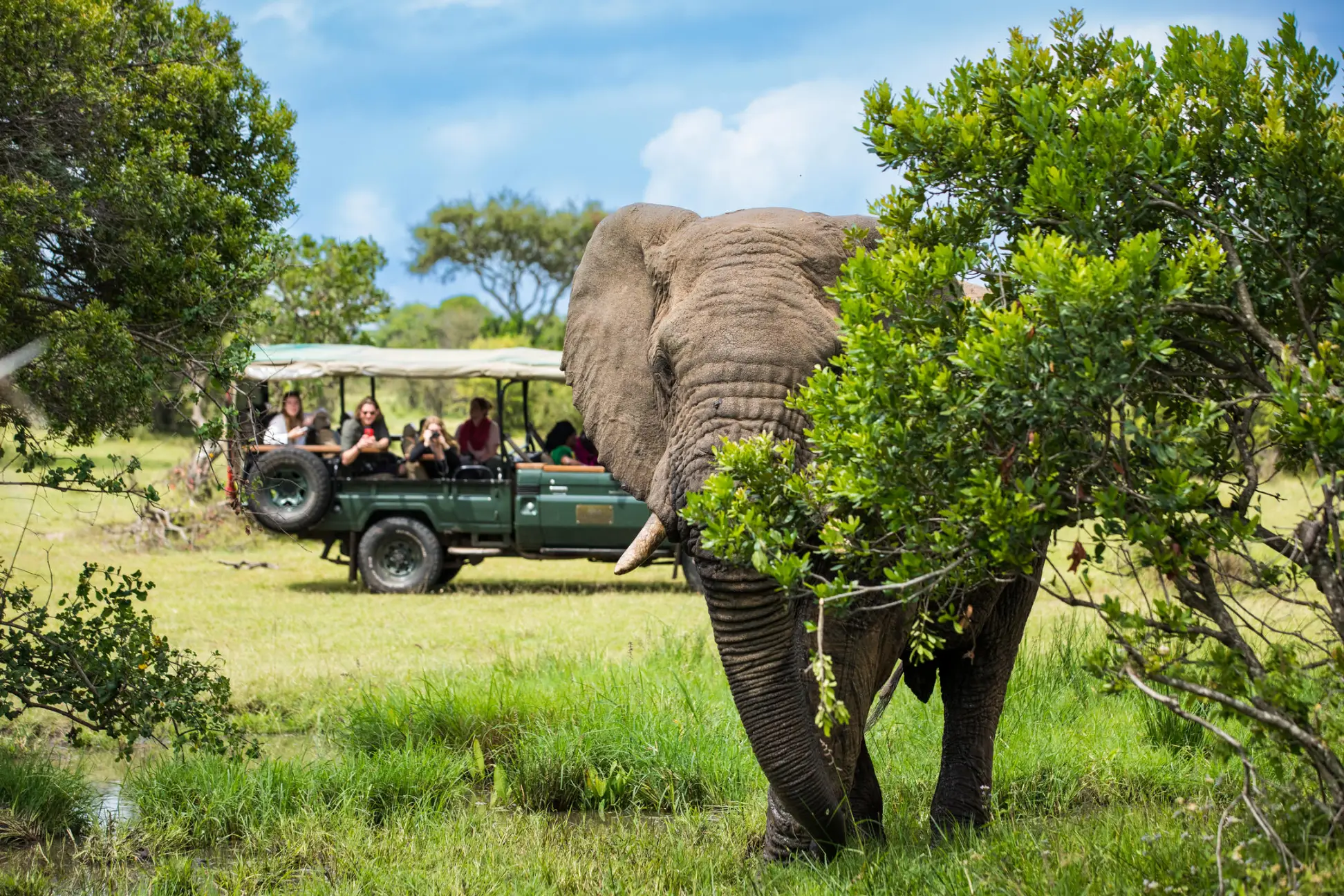 1751632845044_Cottars-Safaris-male_elephant_2