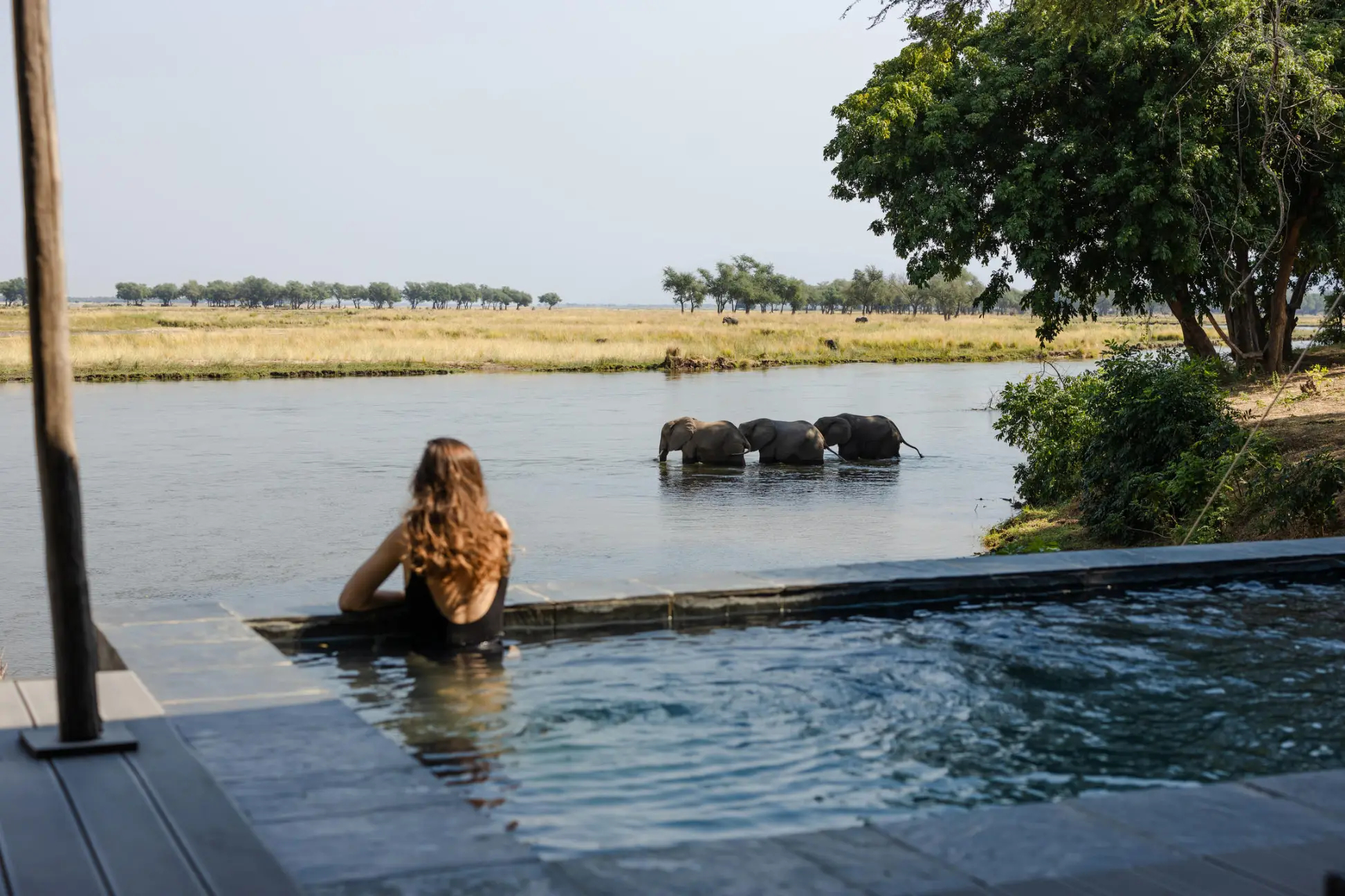 Copy of Sausage Tree Swims