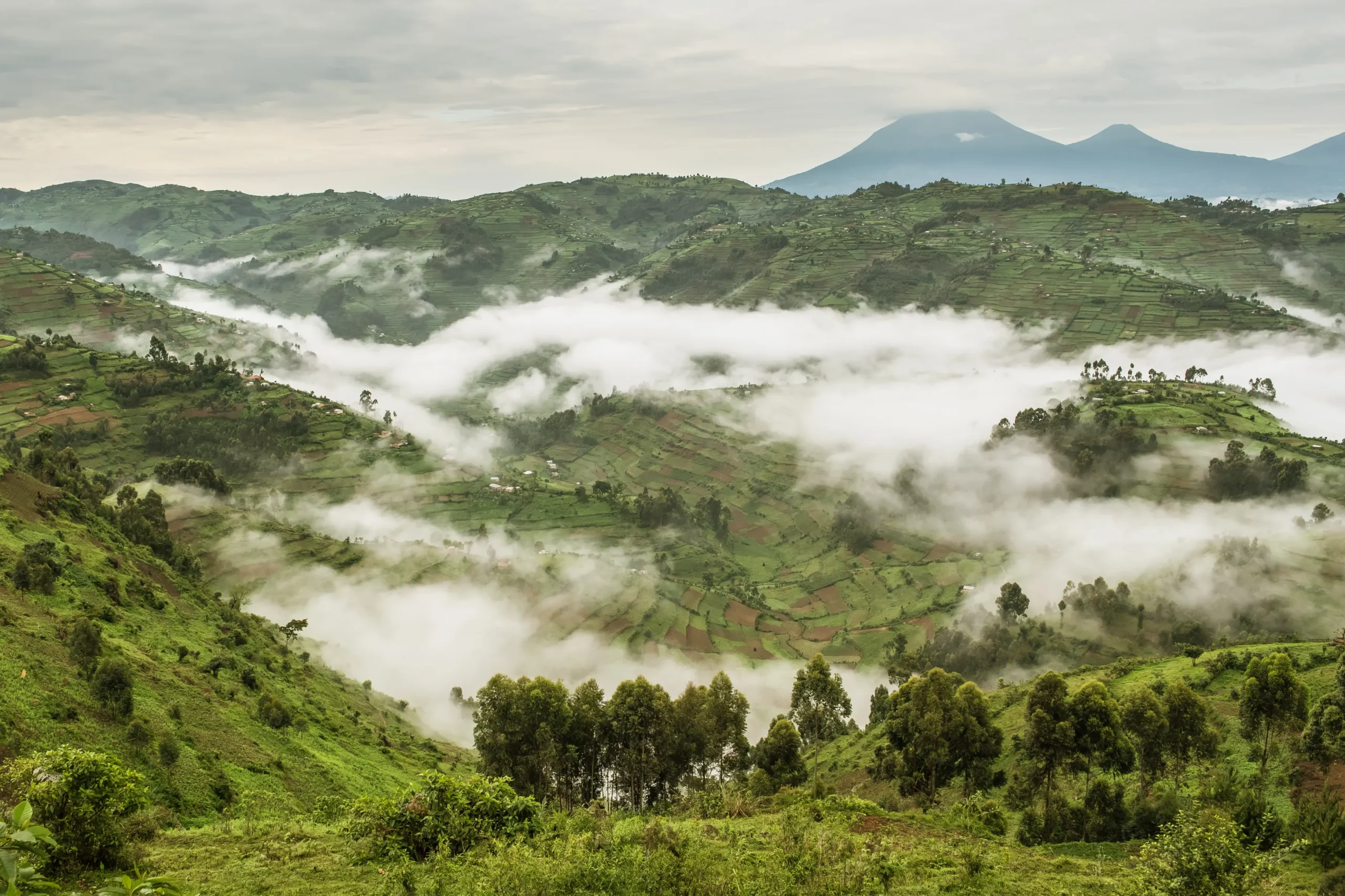 Uganda Hills and Mountains