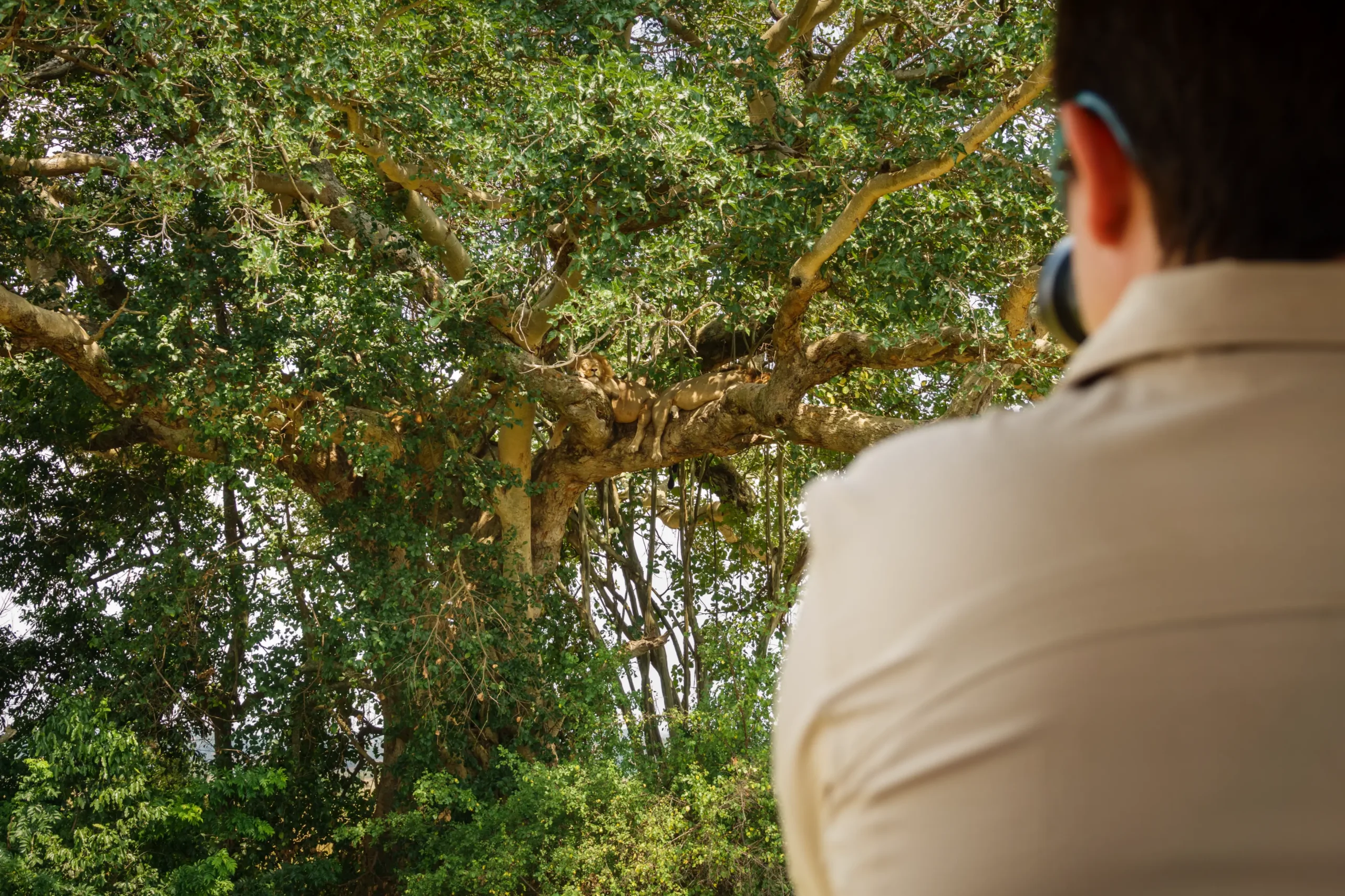 shutterstock_487066117