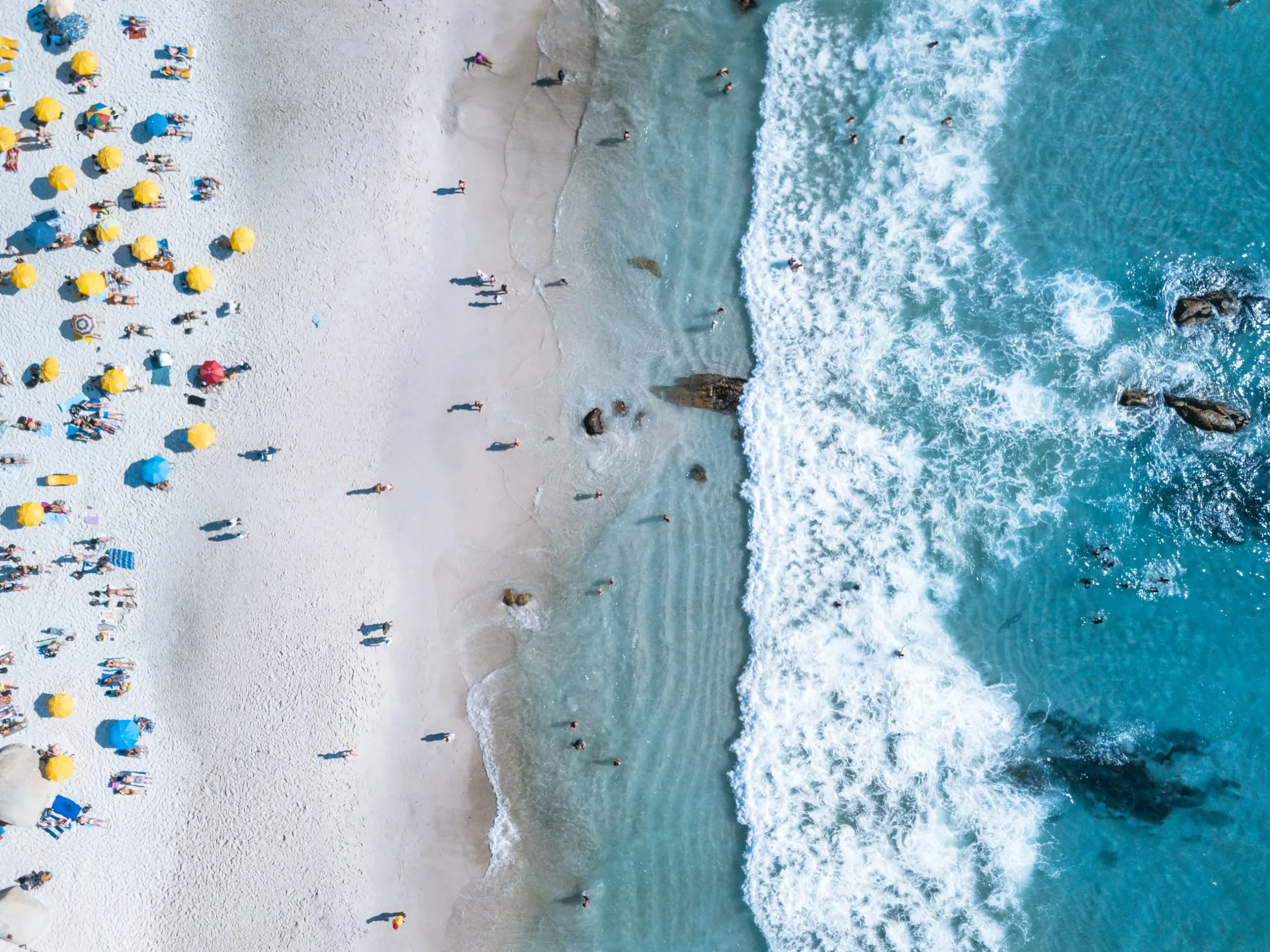 AdobeStock_226476712 (1)