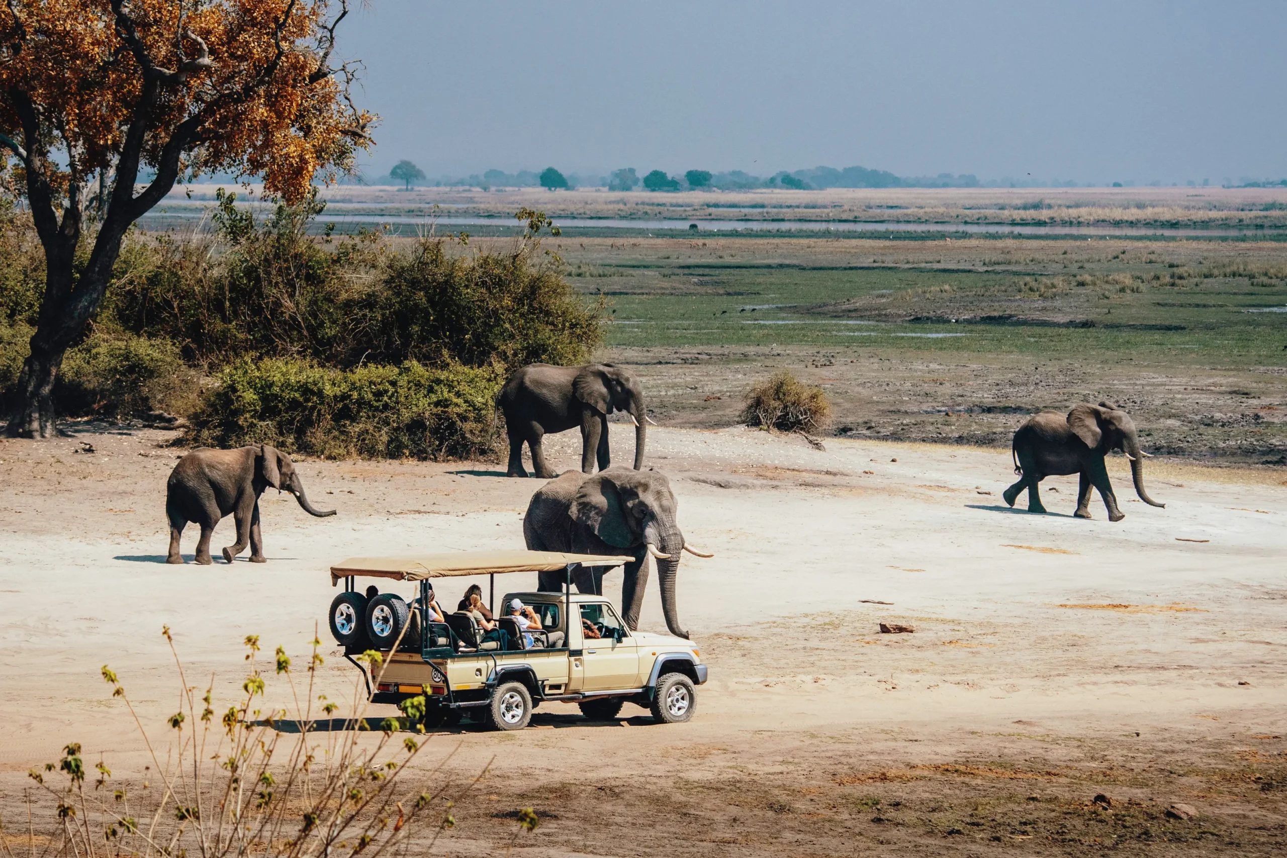 AdobeStock_245909933