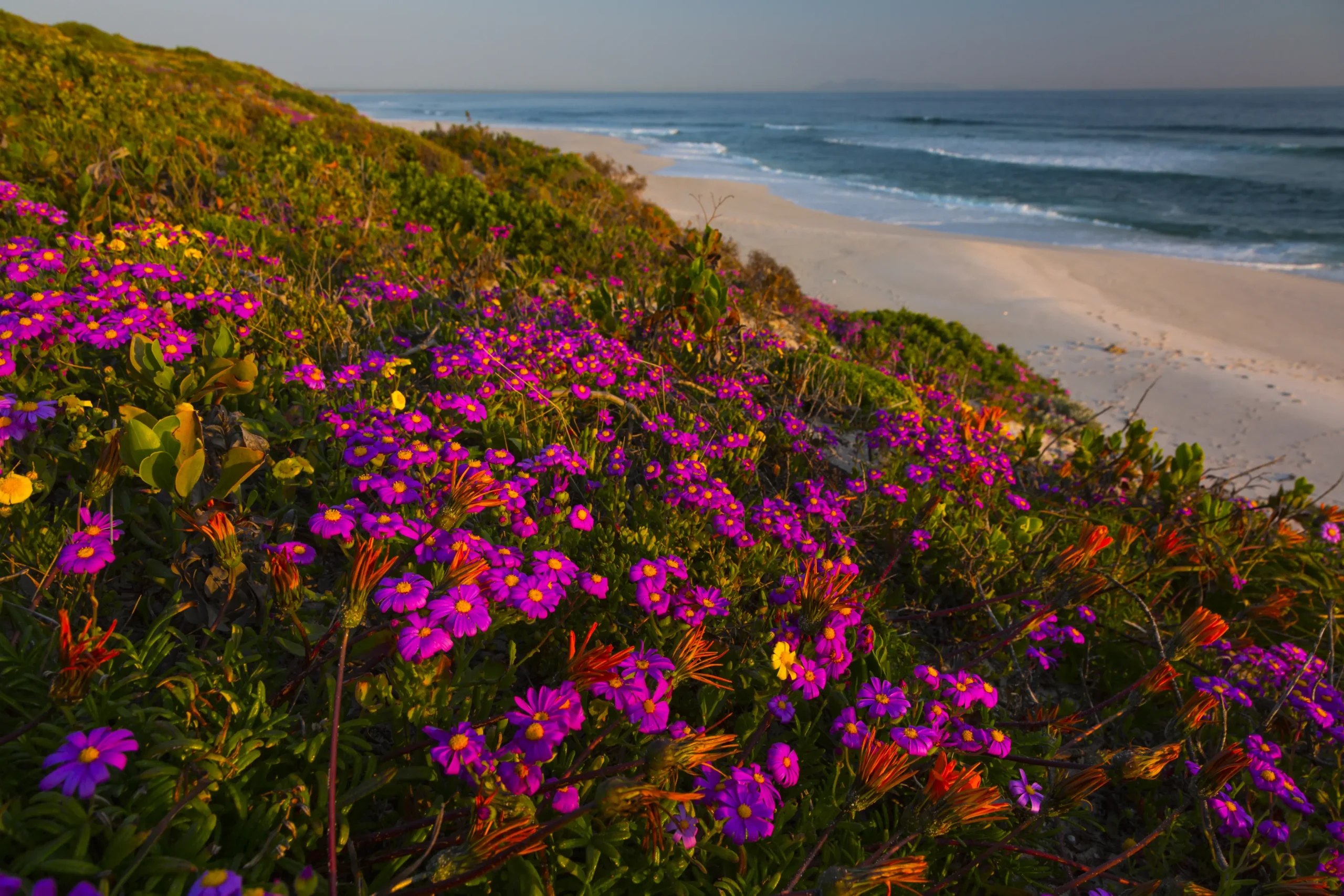 AdobeStock_271745778