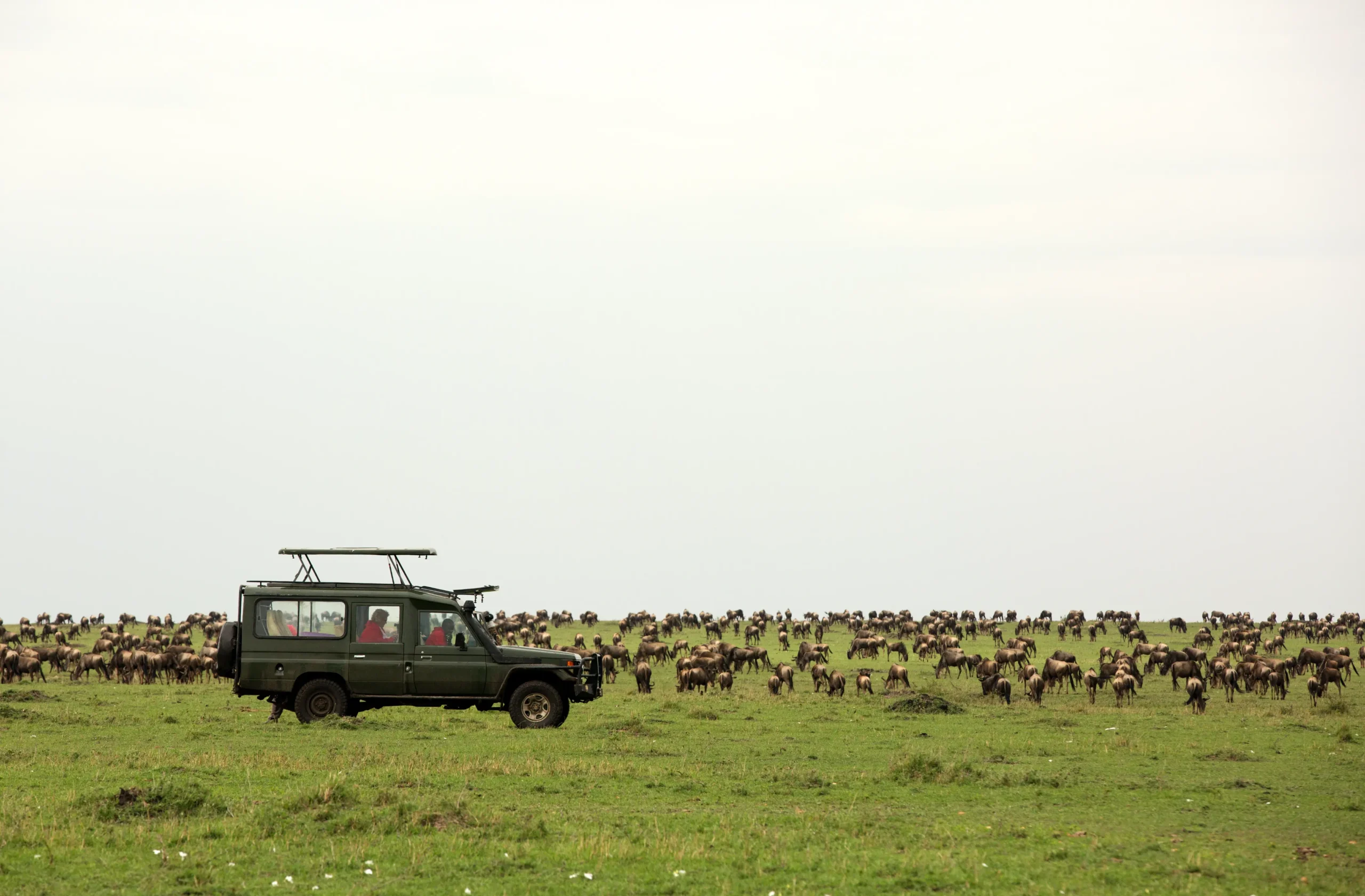 AdobeStock_341447663