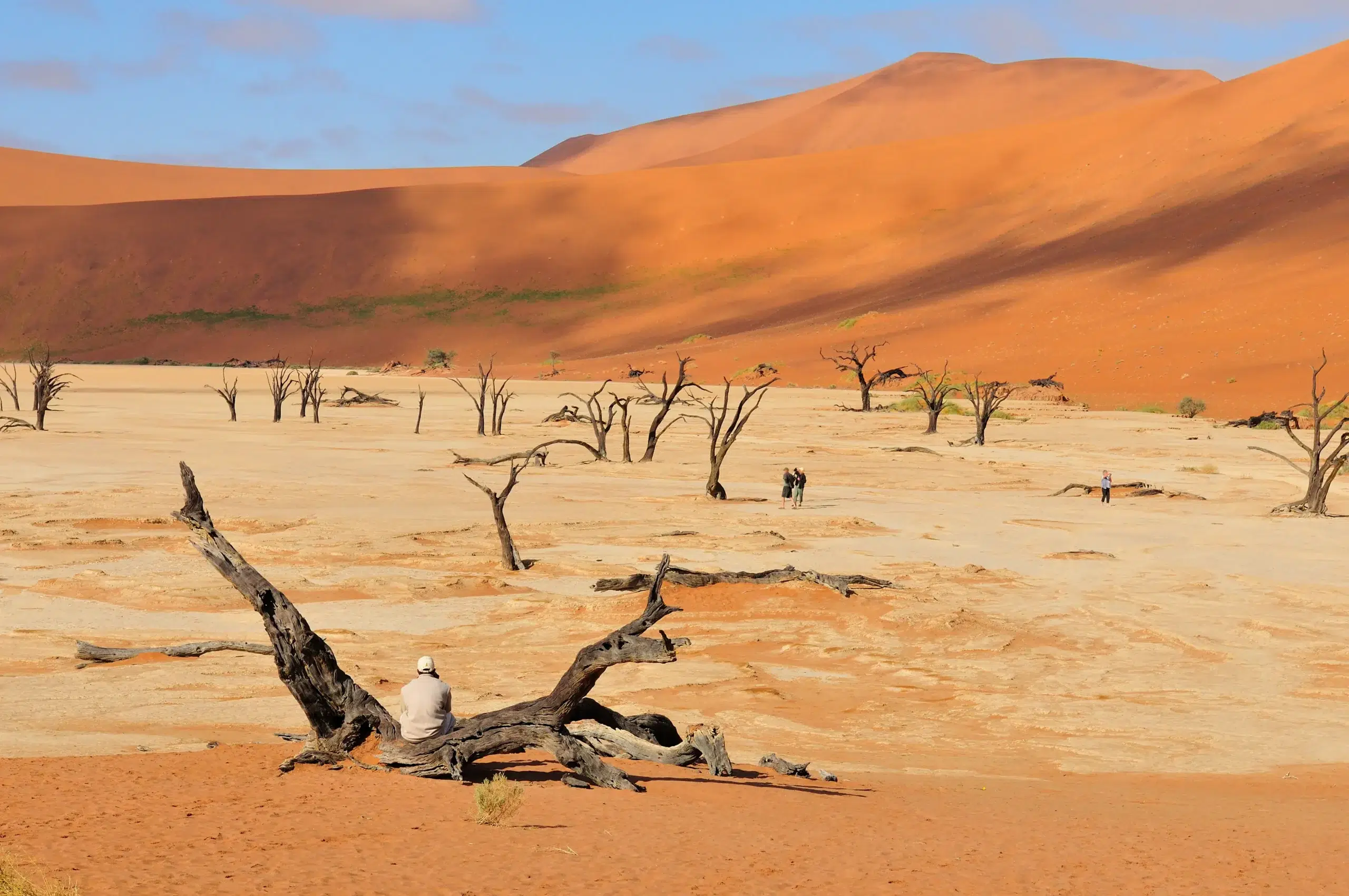 tree-skeletons-deadvlei-namibia-2025-01-09-03-28-07-utc