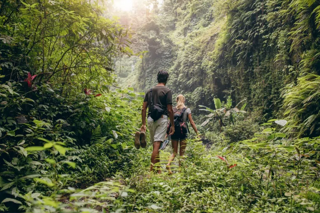 Couple trekking through dense rainforest on a guided walking adventure, part of Luxury safaris by land Africa offering immersive jungle experiences