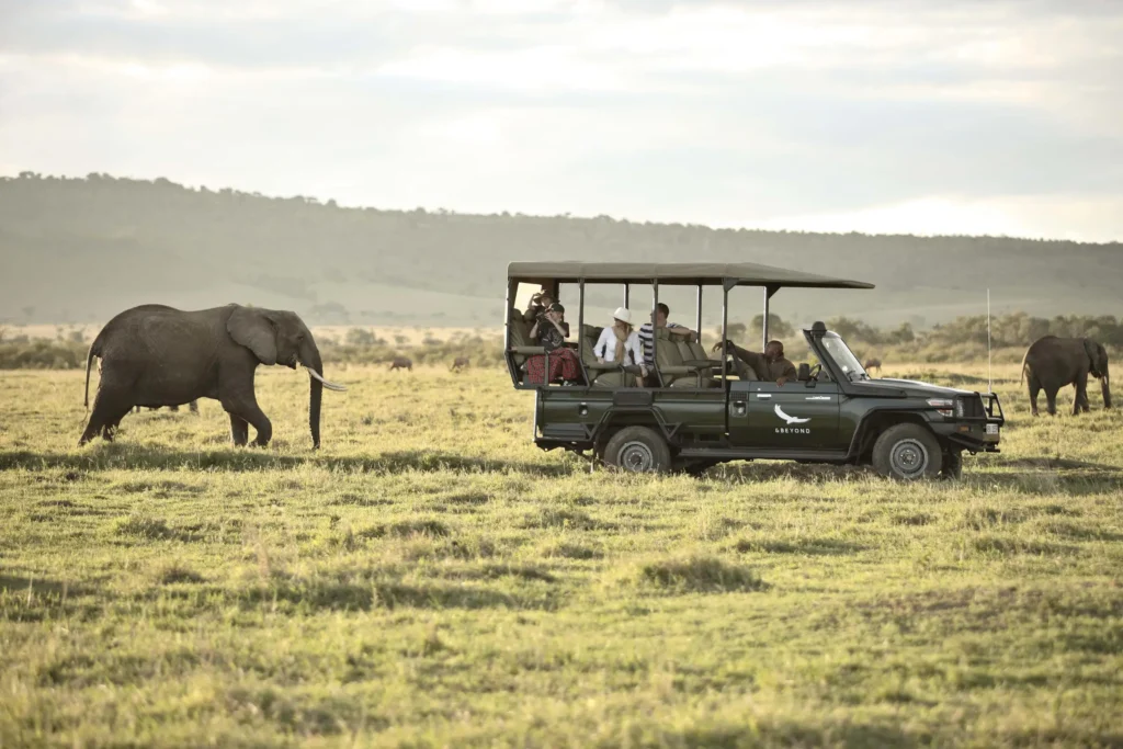 Safari game drive with elephant walking beside vehicle, highlighting the best time to visit the Masai Mara for wildlife viewing