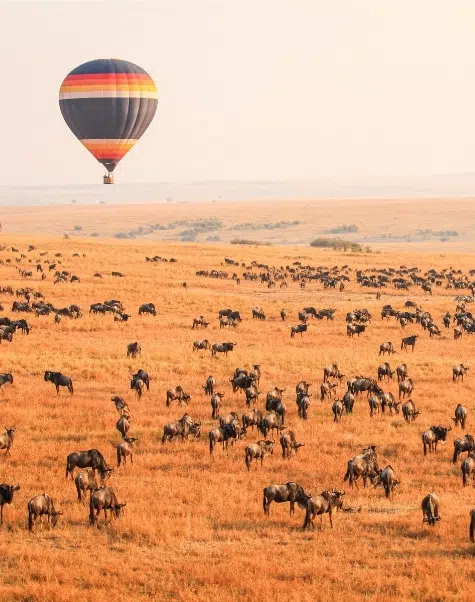 Hot air balloon safaris - The best African safari packages