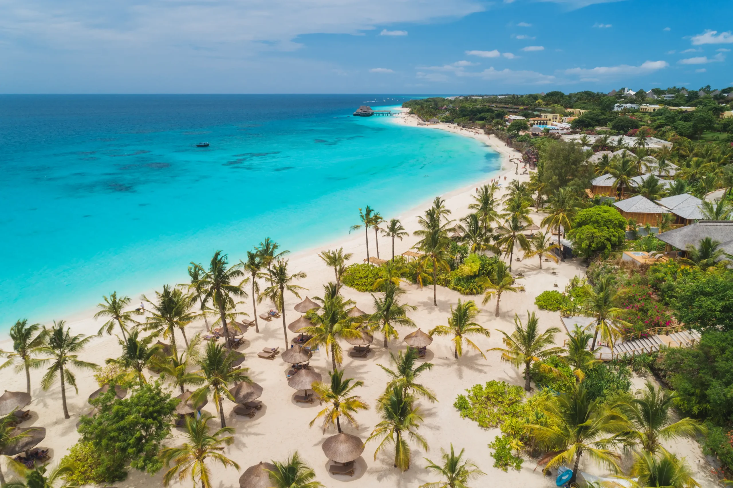 aerial-view-of-palms-on-the-sandy-beach-of-indian-2026-03-16-03-26-28-utc