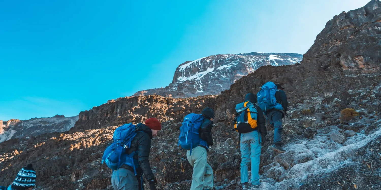 The team from Ker & Downey Africa walking in a valley of vegetation on Mount Kilimanjaro