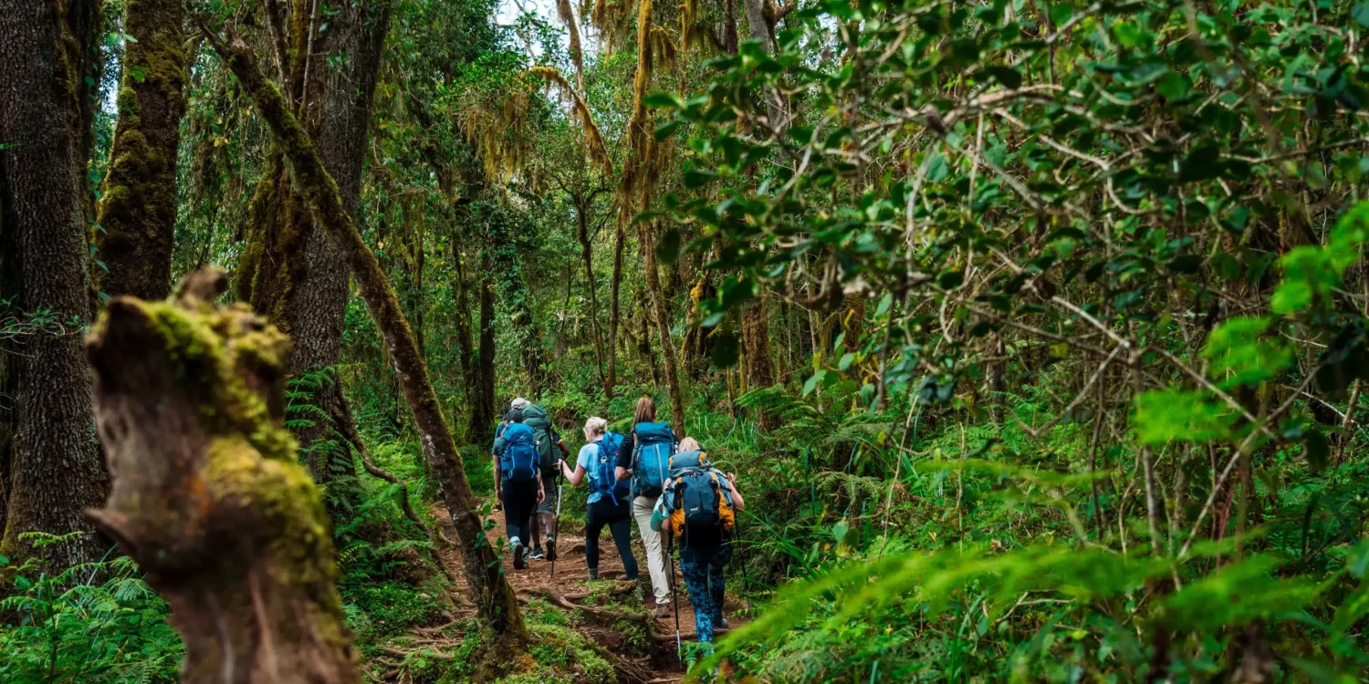 The team from Ker & Downey Africa beginning their hike to Mount Kilimanjaro through the rainforest