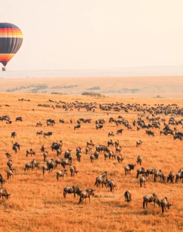 Hot air balloon safaris - The best African safari packages