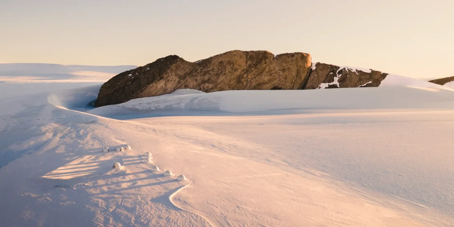 Antarctica Penguins Expedition View