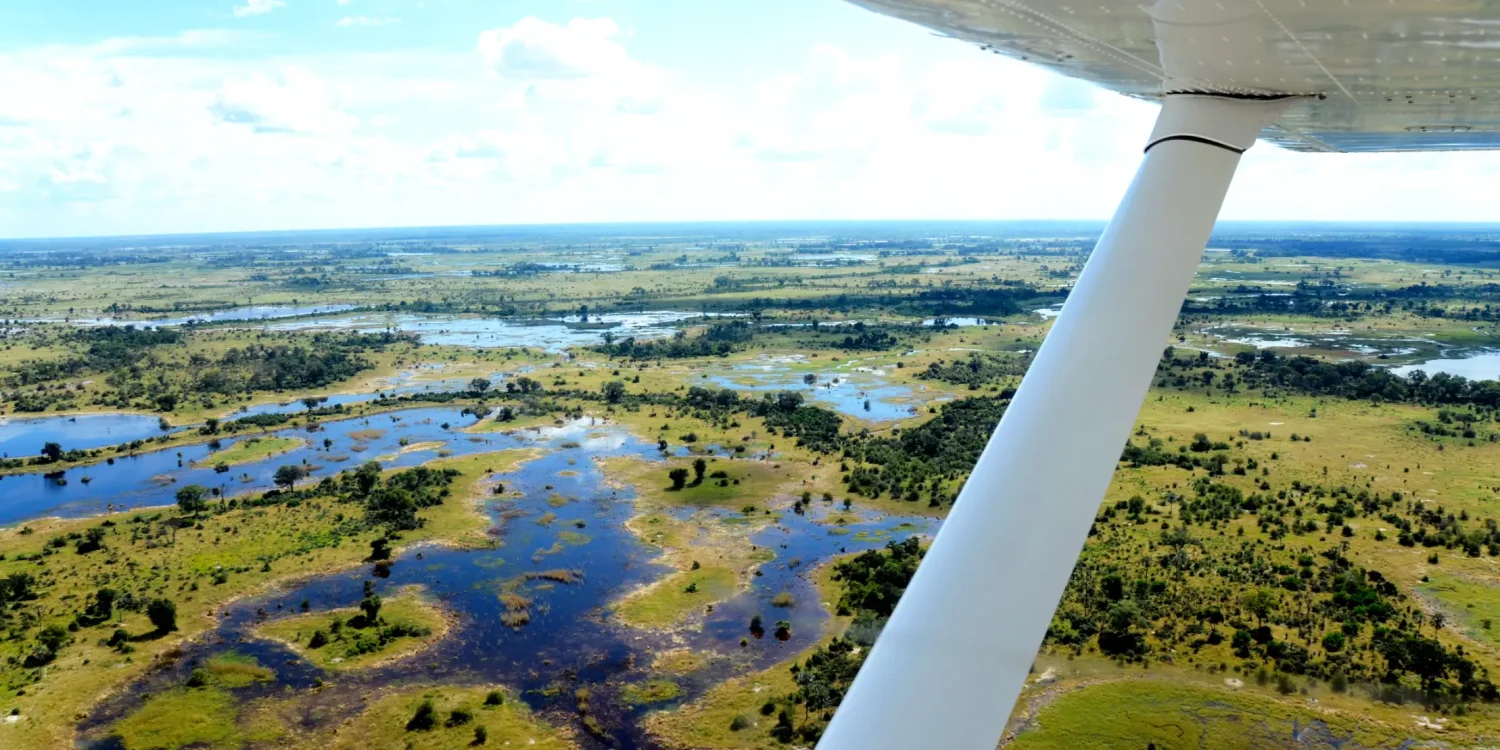 View from an airplane window over the lush green channels, winding rivers, and islands of the Okavango Delta in Botswana.