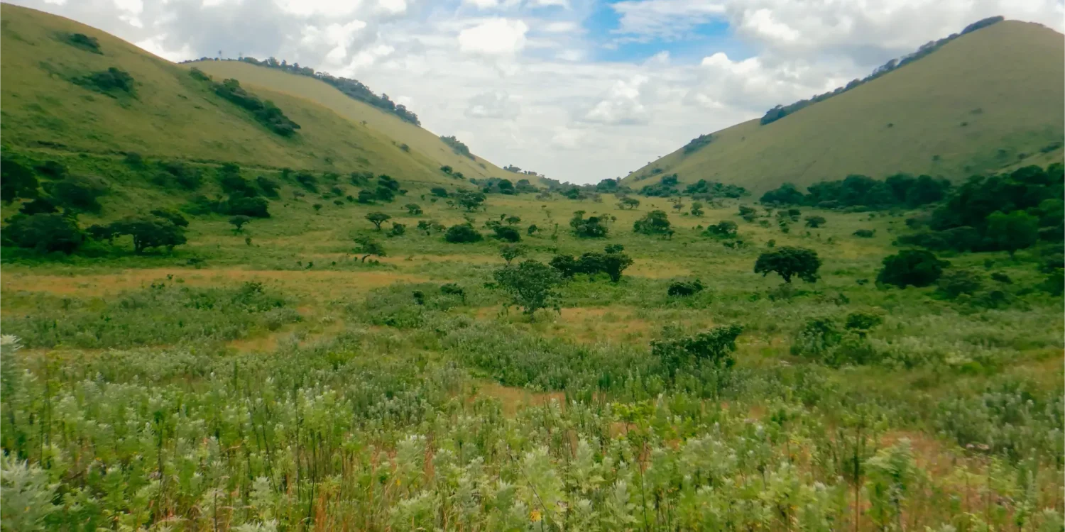 Lush green rolling volcanic hills under a cloudy blue sky in the Chyulu Hills of Kenya.