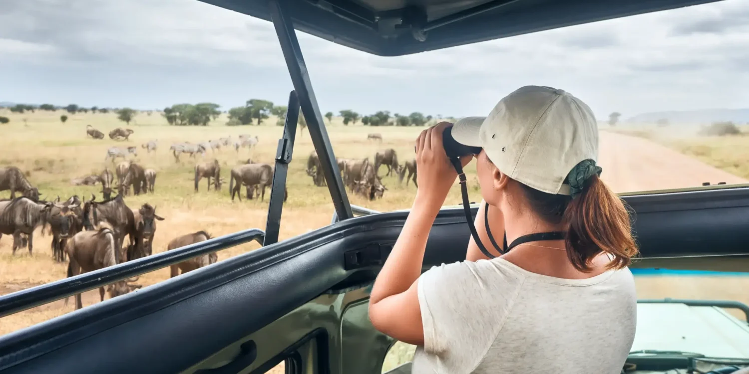 Un voyageur en safari observe la faune sauvage depuis un 4x4 ouvert en Tanzanie, illustrant l'une des expériences phares des meilleurs safaris d'Afrique pour observer les Big Five.