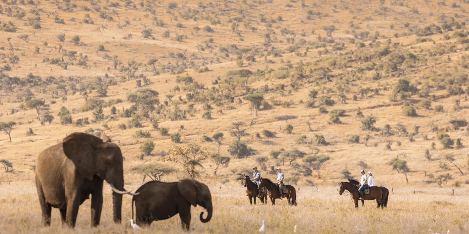 Horseback Safari at Lewa Wildlife Conservancy, Kenya