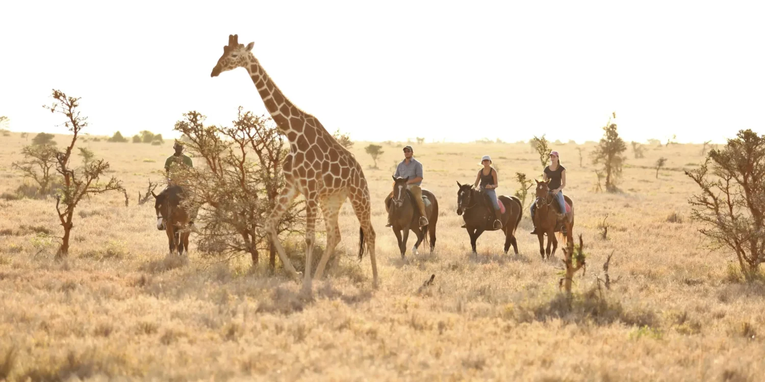 Teenagers horseback riding past a giraffe on an African safari for teenagers in golden savannah landscape