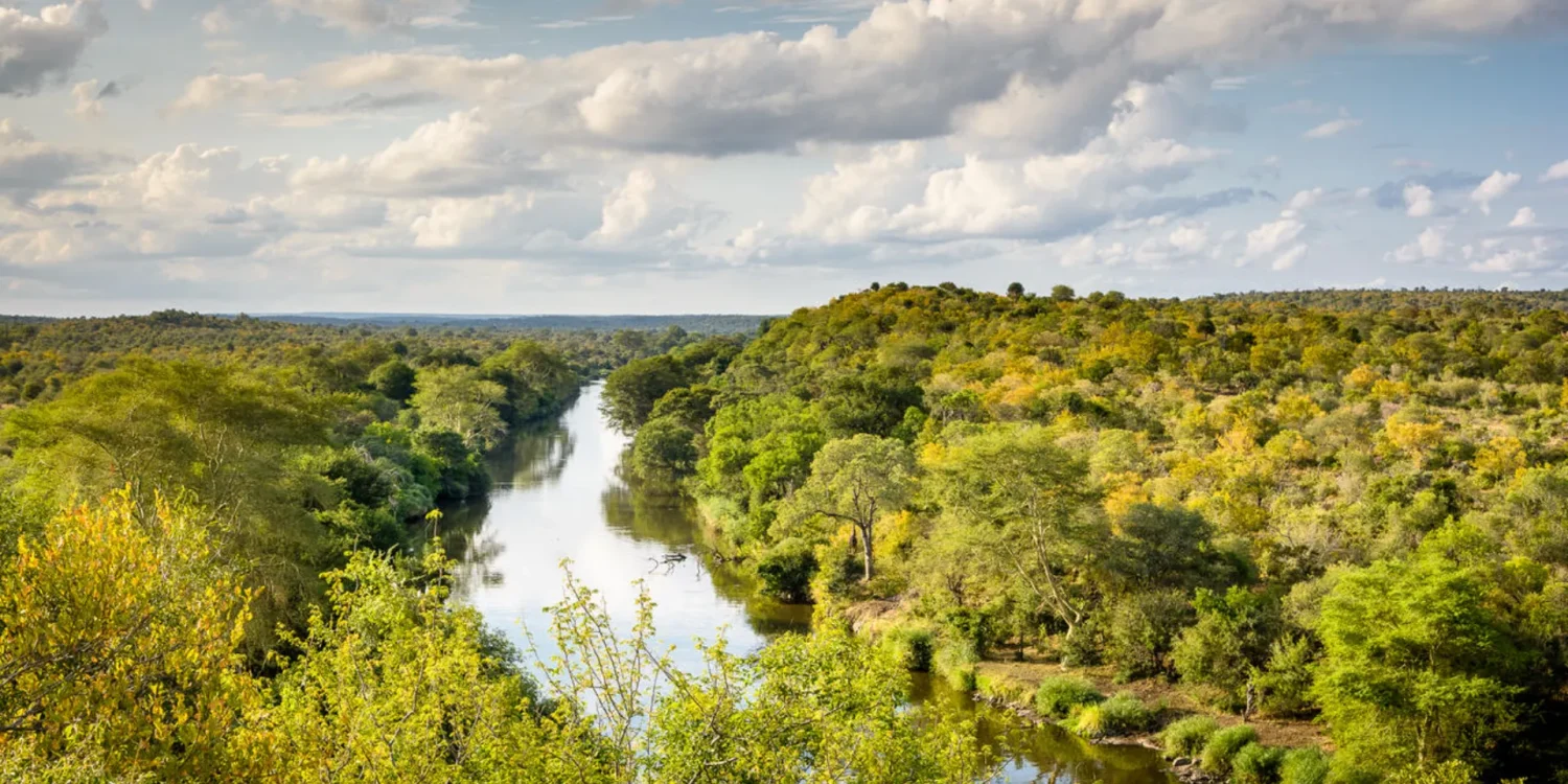 Kruger Concession