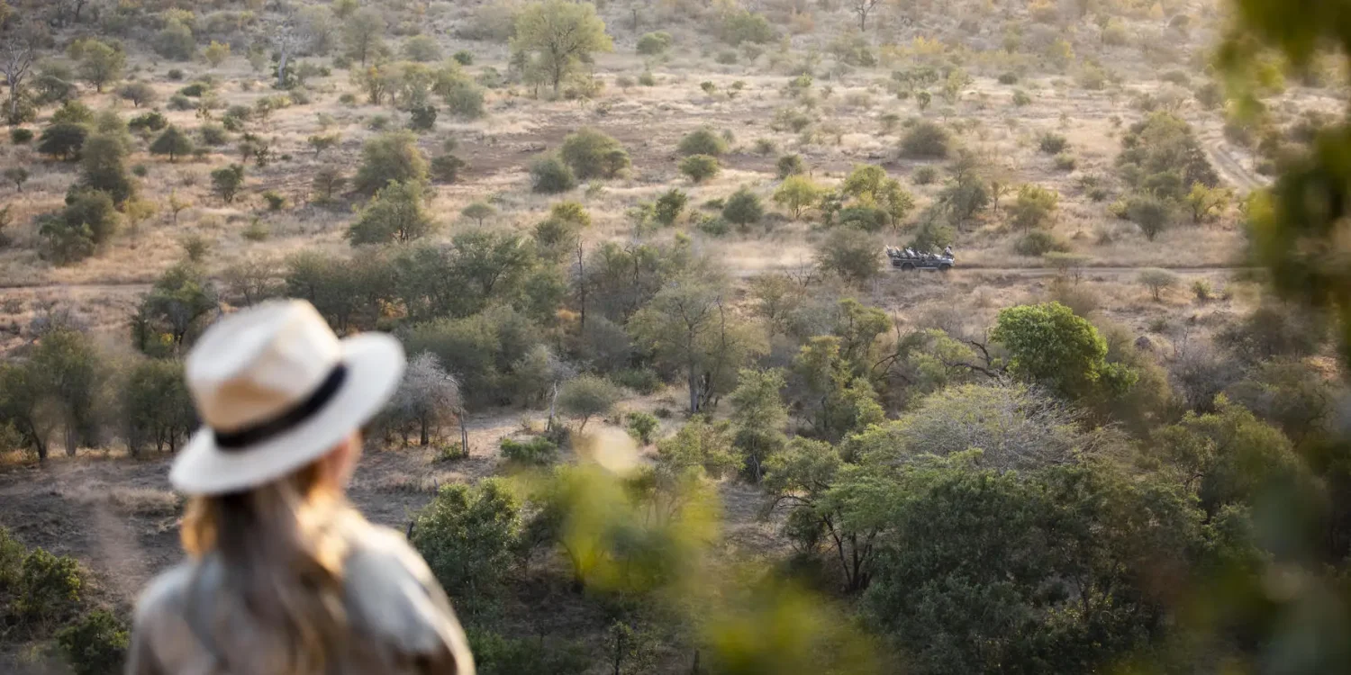 Les meilleurs safaris en Afrique pour observer les Big Five, avec vue imprenable sur l'immensité sauvage et safari guidé en 4x4 de luxe.
