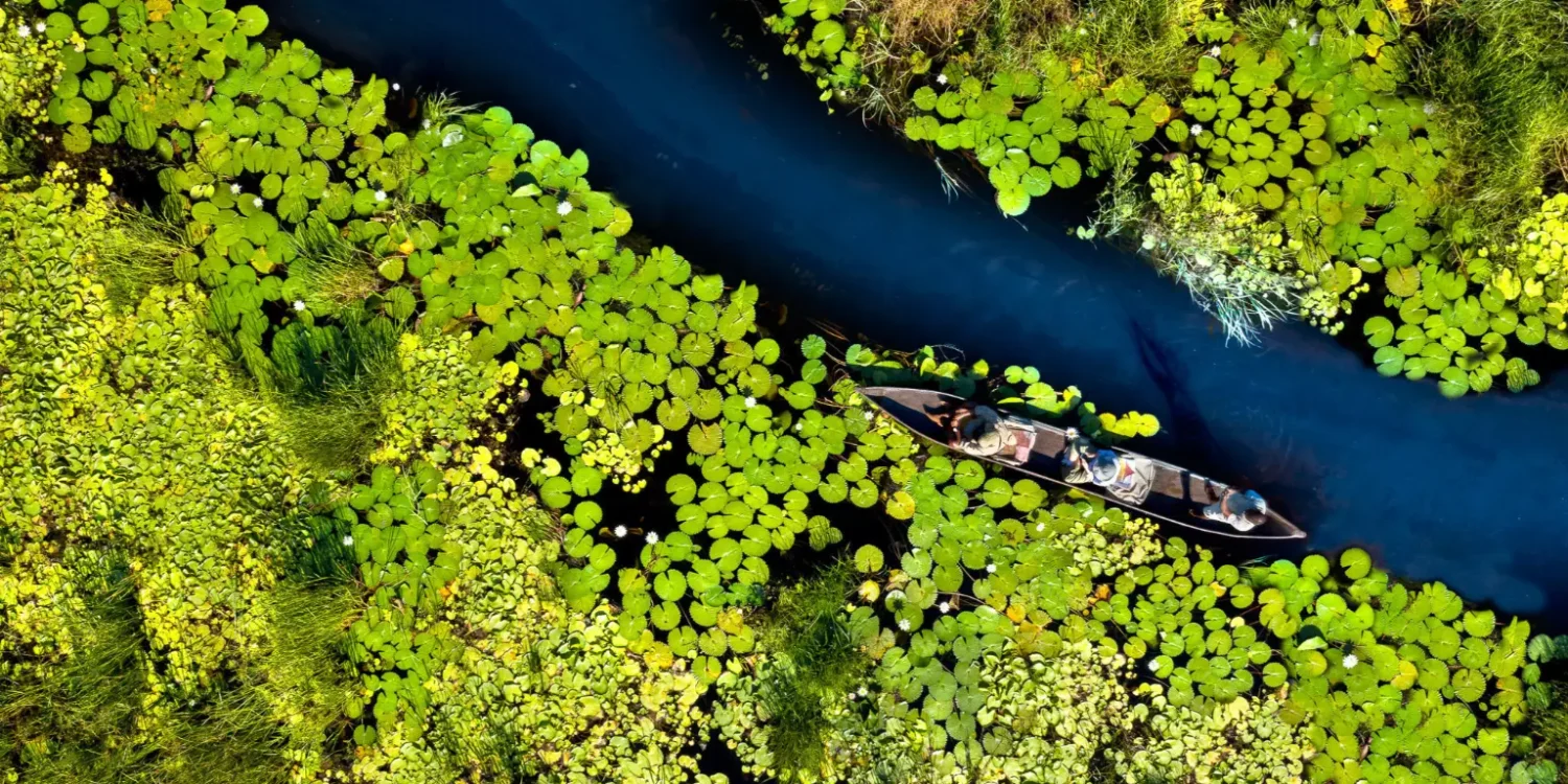 LGBTQ-Friendly-Safari-Botswana-Okavango-Delta-National-Park