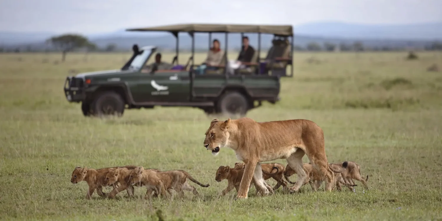 Lioness-and-Cubs-Tanzania-Safari-Baby-Animals-in-the-Wild