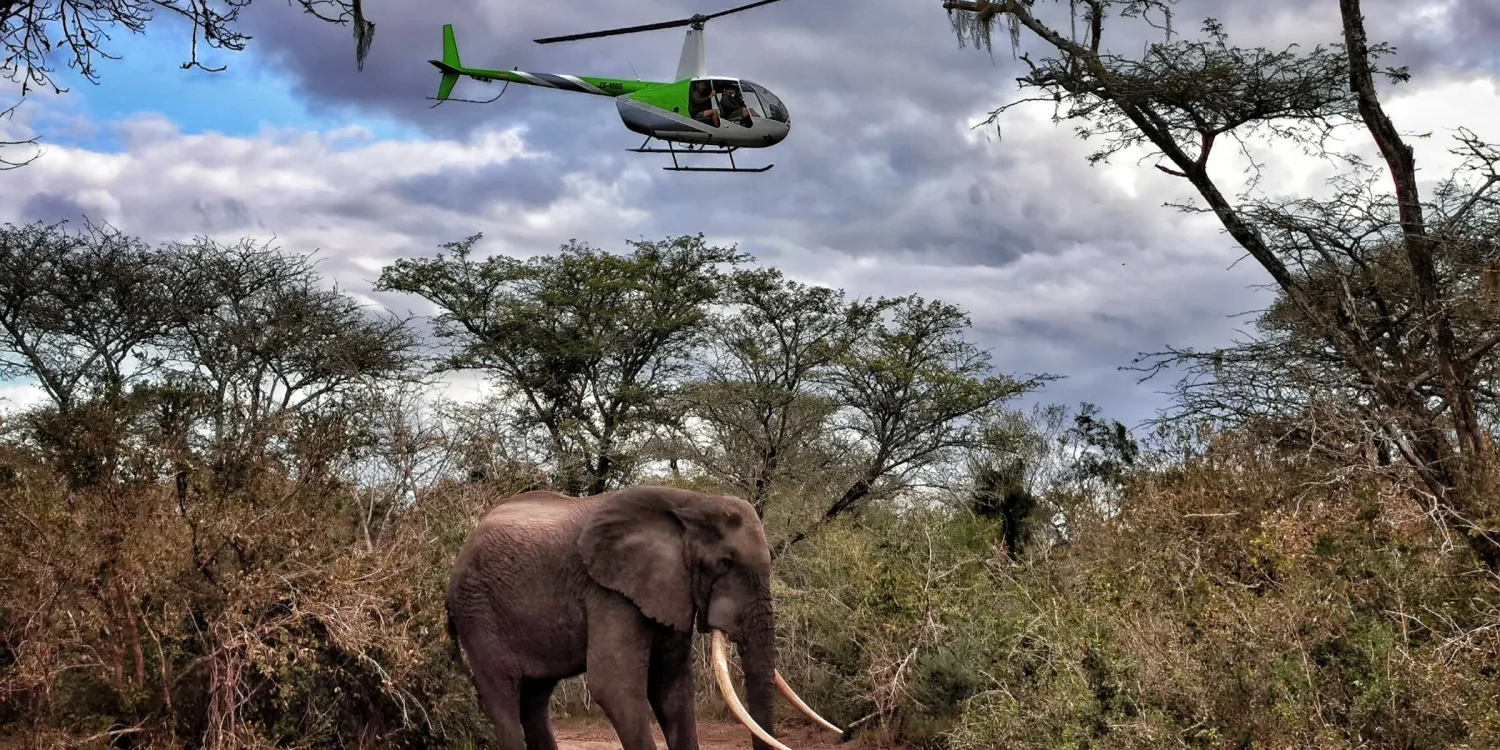 Luxury African Safari Cost - Helicopter Safari Over Big Tusker Elephant in Africa